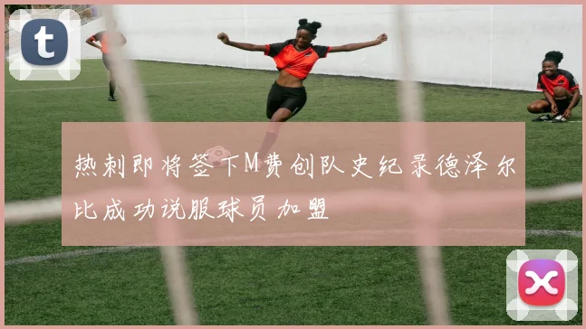 热刺即将签下M费创队史纪录德泽尔比成功说服球员加盟